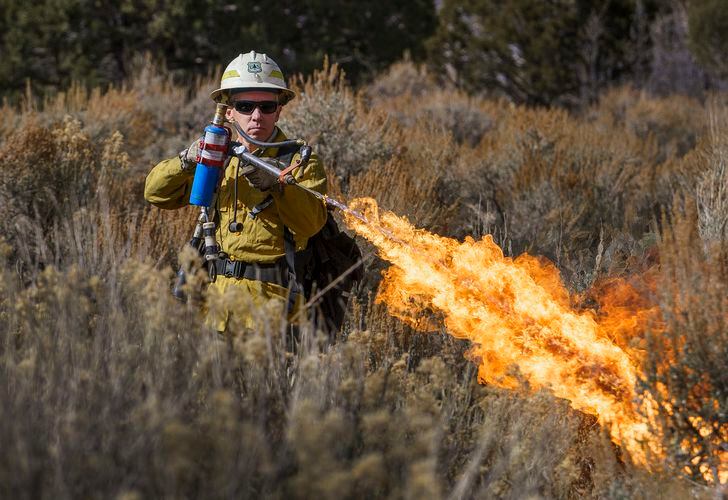 (Leah Hogsten | The Salt Lake Tribune) Mike Elson, forest supervisor for Fishlake National Forest uses a Terra Torch to start a prescribed burn near the Moroni Peak area, Saturday, Nov. 6, 2021. The day's weather conditions of overcast skies and high relative humidity forced the cancelation of the burn after the sagebrush, juniper, pinyon pine and gambel oak would not catch fire. Utah's national forests are ramping up their use of controlled burning to improve forest health.
