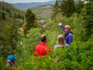 (Trent Nelson  |  The Salt Lake Tribune) Caitlin Willard leads a Hops Hunters Hike in Empire Canyon, Park City, on Wednesday, June 8, 2022.