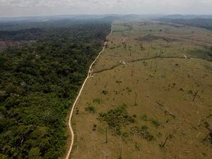 FILE - This Sept. 15, 2009 file photo shows a deforested area near Novo Progresso in Brazil's northern state of Para. (AP Photo/Andre Penner, File)
