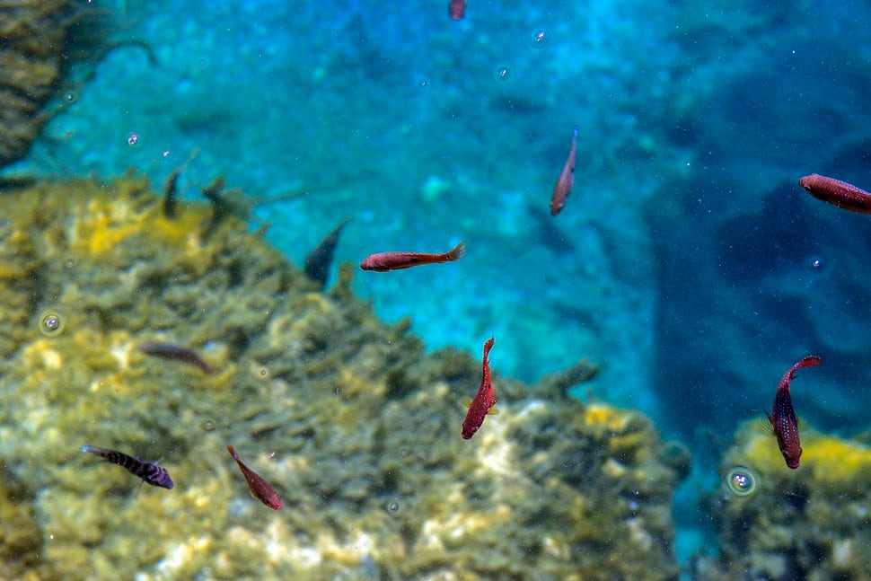 Oasis redefined Here are 5 surprising hot and warm springs in central