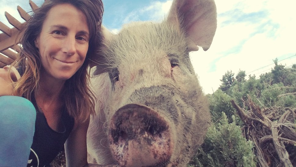Lauren Lockey is the co founder of Sage Mountain which is a non profit and sanctuary for rescued farm animals.
