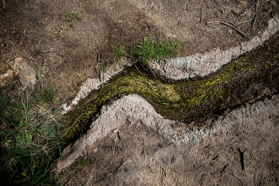 Tribal Nation Condemns Desecration To Build Border Wall The