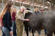 Dirk Vanderwall uses a stethoscope on a dark grey horse while students watch.