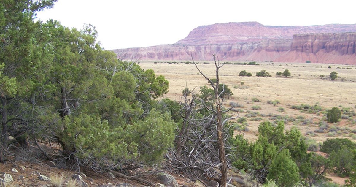 Ireinspiring gravelpit parcel doesn’t sell in Utah trust land auction