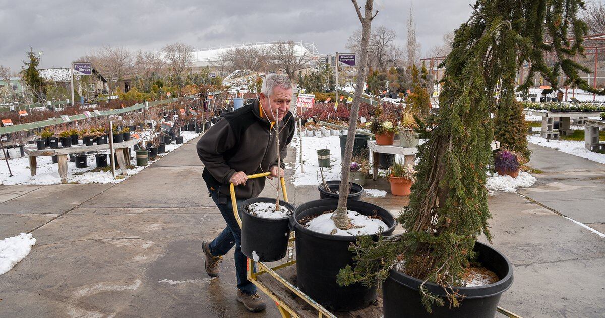 Wasatch Shadows Nursery In Sandy Closes After 42 Years Rooted In