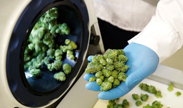 More than 100 pot shops set to open as Canada legalizes weed