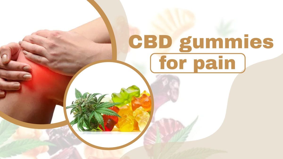 Best CBD Gummies for Pain Relief  Inflammation in 2024 - Top ...