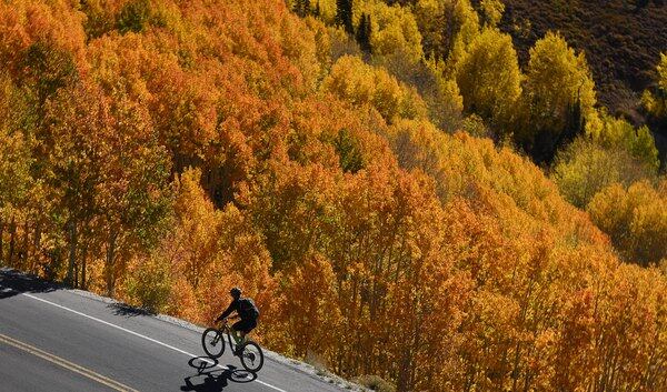 Fall color lights up the Wasatch Front 