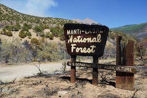(Zak Podmore | The Salt Lake Tribune) The Pack Creek Fire started on June 9 from an unattended campfire and burned over 8,000 acres in the first week. June 14, 2021.