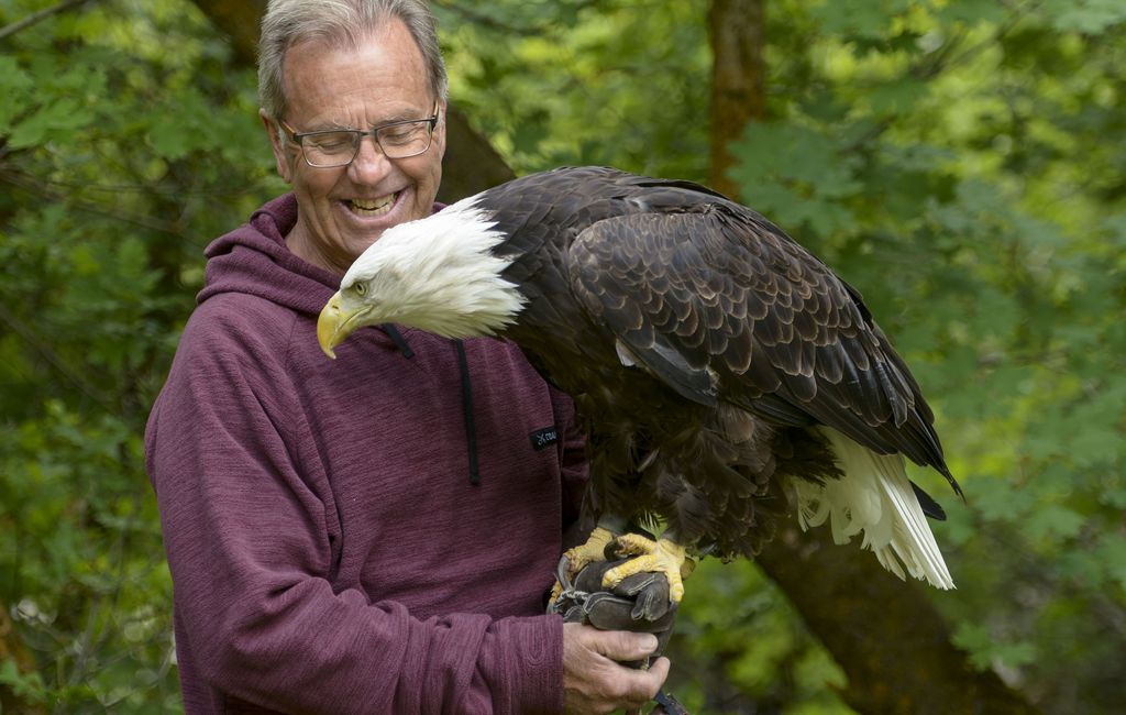 Vintage Playskool familiar places National Park part Eagle bald bird Sam swoop 