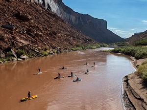 (Leah Hogsten | The Salt Lake Tribune) A guide leads paddleboarders down the Colorado River on Monday, Aug. 15, 2022.