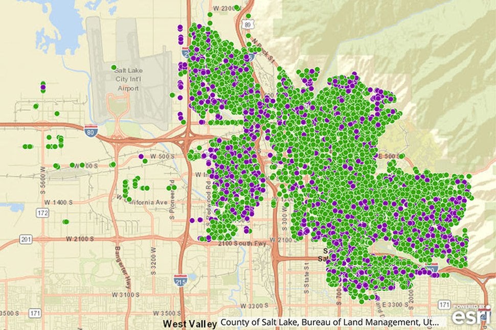 Salt Lake City mayoral candidate Erin Mendenhall pledges to plant 1,000