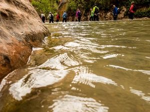 (Trent Nelson  |  The Salt Lake Tribune) Hikers in the Narrows, Zion National Park, Wednesday May 6, 2015.