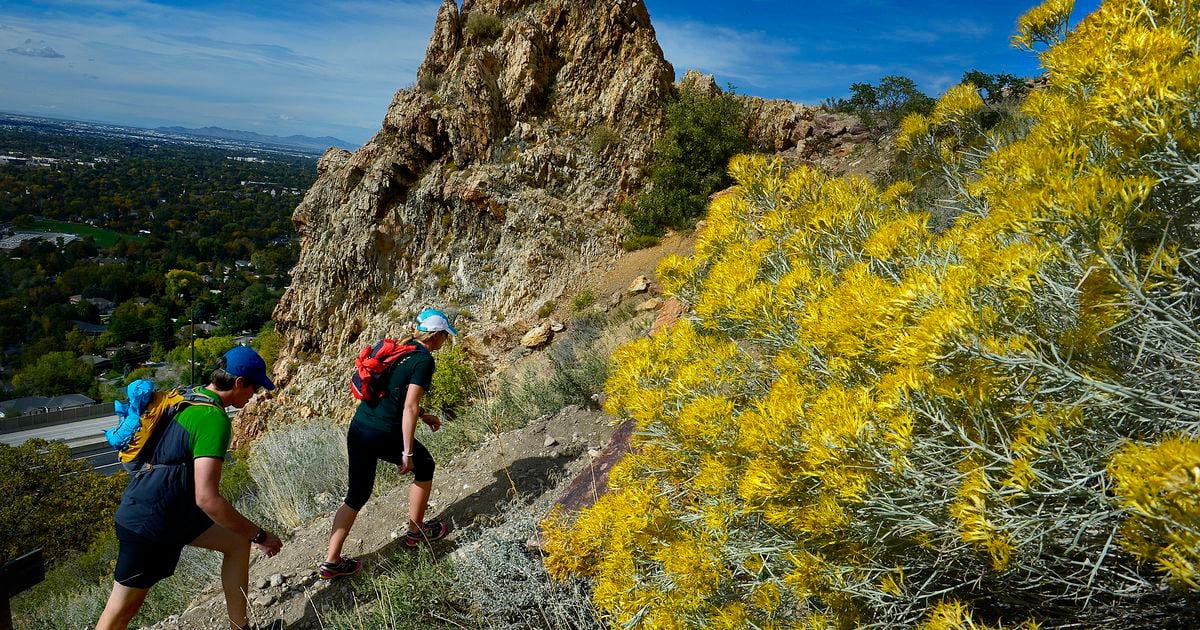 apologizes for filing lawsuits against smaller