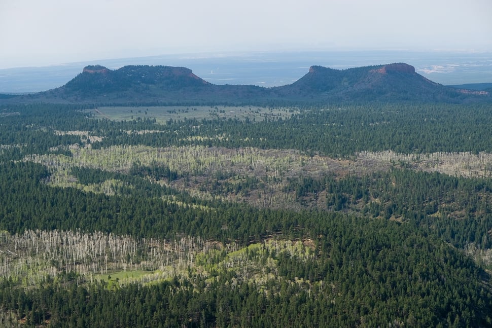 Utah quietly tells feds: Trim Bears Ears monument by 90 percent - The Salt Lake Tribune