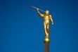 (Trent Nelson  |  The Salt Lake Tribune) Angel Moroni statue tops the Layton Temple. Tribune columnist Gordon Monson says Latter-day Saints certainly can believe their church is true, but they can't really "know" it.