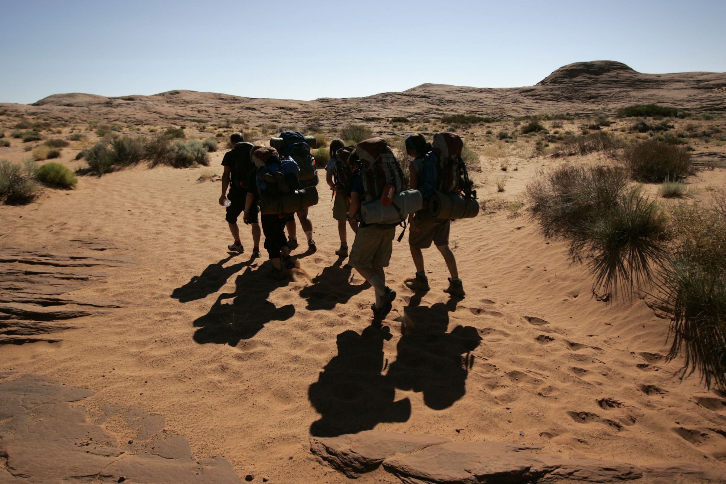 Psychedelic-Assisted Treatment: A New Frontier in Mental Health Therapy thumbnail