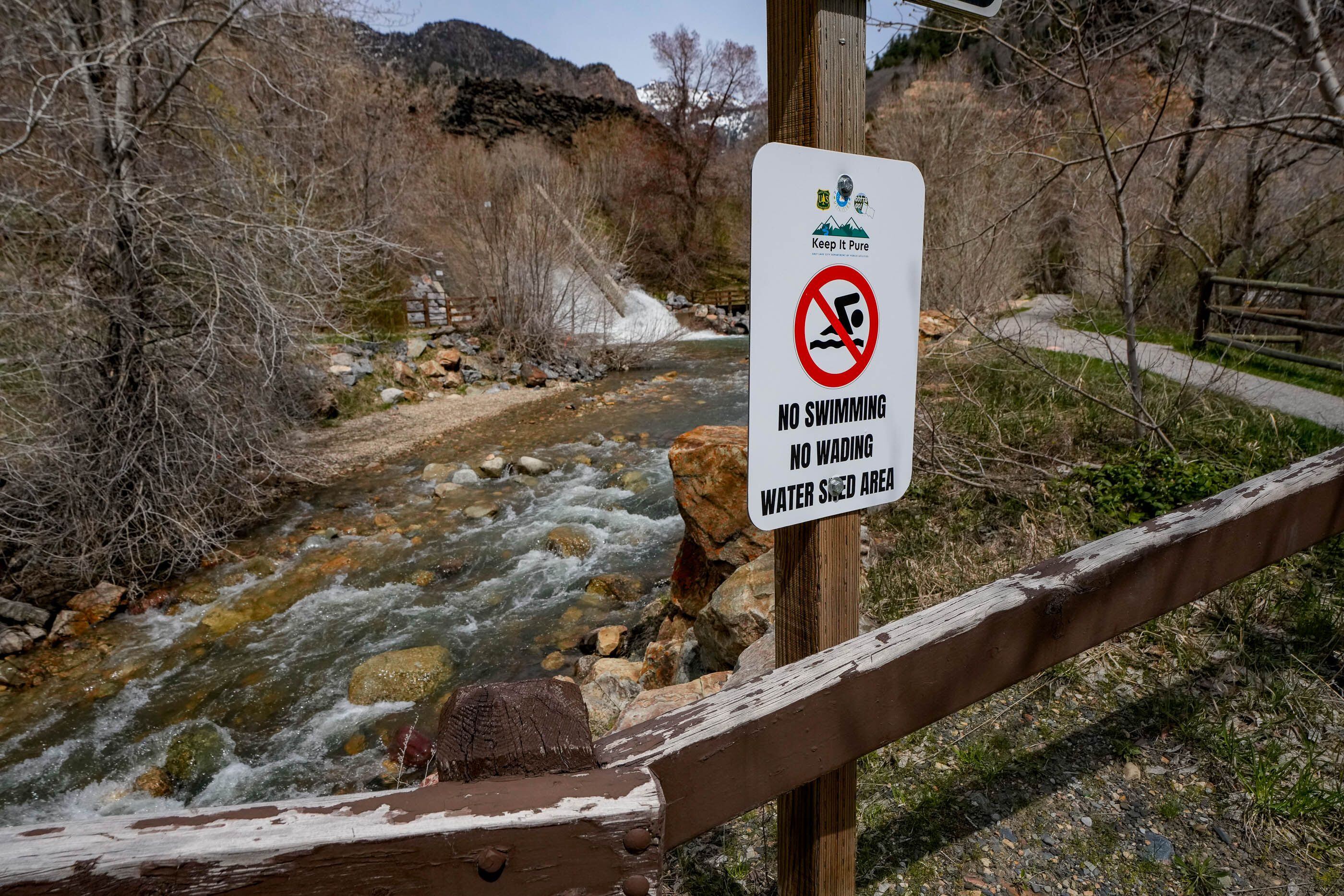 (Francisco Kjolseth  |  The Salt Lake Tribune)  A no swimming or wading sign stands next to Big Cottonwood Creek at the Storm Mountain Picnic Area.