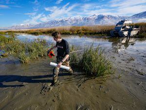 (Francisco Kjolseth | The Salt Lake Tribune) U. of U. graduate geoscience groundwater hydrology student Alex Engstrom, measures out a line of groundwater monitoring devices across a widened discharge channel for the central Davis sewer plant near Farmington Bay on Thursday, Nov. 3, 2022. Engstrom is in the process of measuring groundwater seepage that originates from a number of sources nearby with a primary look at levels of mercury.