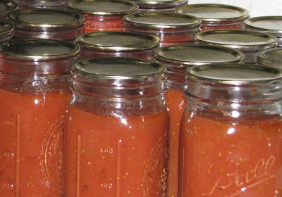 (Lee Reich | AP) This undated photo shows canned tomatoes in jars in New Paltz, N.Y. Salt Lake Tribune guest columnist Eli McCann has discovered that canning is in his blood.