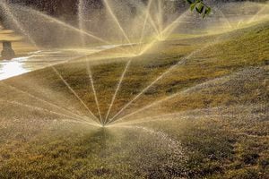 (Trent Nelson  |  The Salt Lake Tribune) Spinning sprinkler in Salt Lake City in June 2021. Salt Lake County plans to remove grass at park strips and parking lot islands to save water.