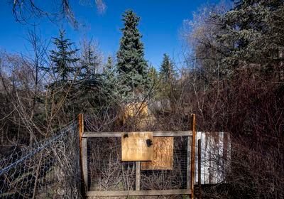 (Rick Egan | The Salt Lake Tribune) A fence blocking access to the Logan trail system near Utah State University on Tuesday, April 2, 2024. Logan City officials said negotiations with landowners who put up the fence have failed and the fence will remain in place.