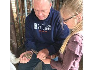 (Courtesy of Chad Warnick) Chad Warnick teaches a student how to trim a goat's hoof. Warnick, a teacher at Delta Technical Center, is Utah's newest Teacher of the Year.