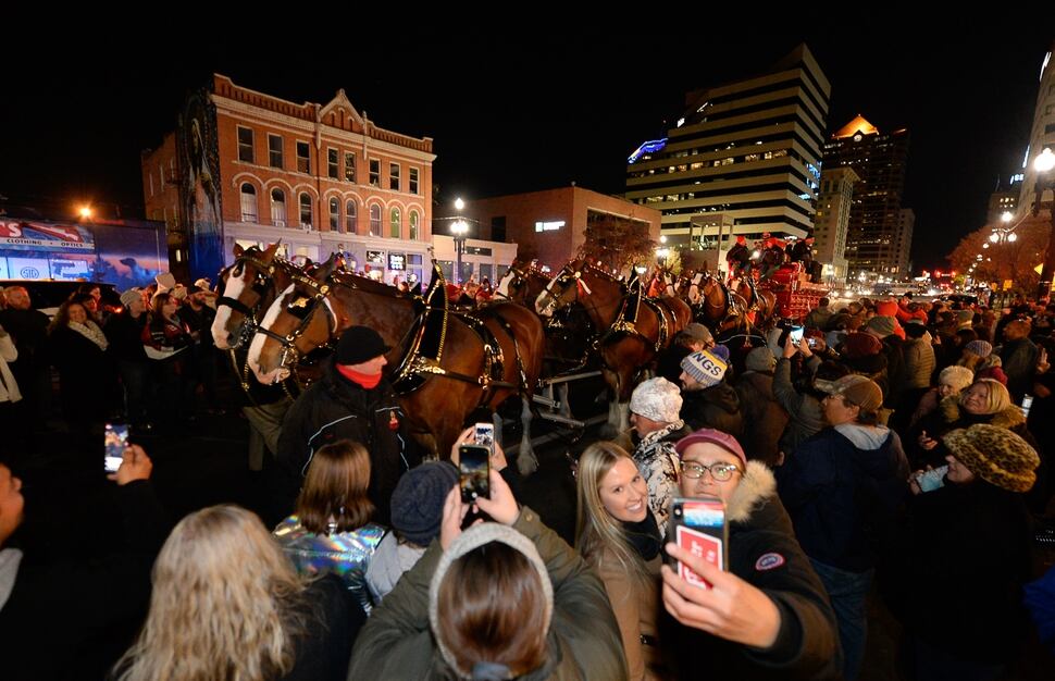 (Francisco Kjolseth | The Salt Lake Tribune) Budweiser’s iconic Clydesdales make a special trip to Utah to celebrate the changing beer laws in the state, joined by a “ghoulish group of pallbearers,” on Wed. Oct. 30, 2019, for a funeral procession for Utah’s last remaining 3.2 percent beer, on their way to Bar X, Beer Bar and Johnny’s on 200 South in Salt Lake City, as the state prepares to start selling 5 percent alcohol-by-volume in grocery and convenience stores starting Friday.