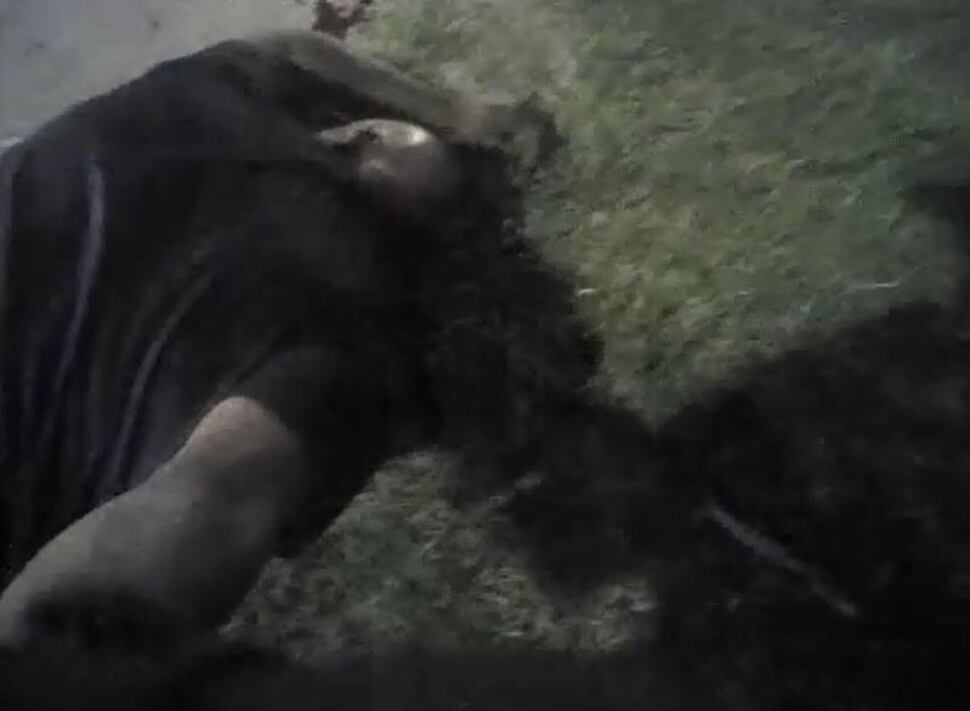 (Courtesy of Salt Lake County District Attorney’s Office) The Salt Lake County District Attorney’s Office determined that Salt Lake City Police Department Officer Fox’s use of deadly force in the August 13, 2017 stop of Patrick Harmon was “justified” under Utah State law.