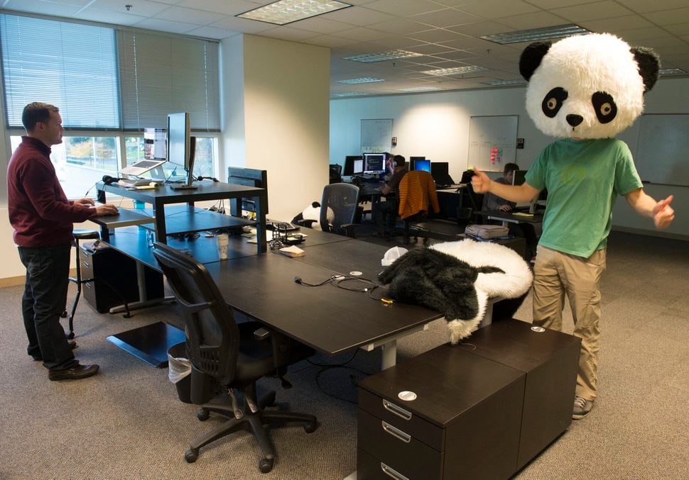 CEO dresses as a panda? Yes, this Utah software company is a rare breed