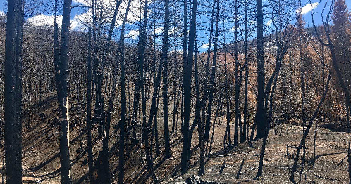 Utah can expect rain — and possible flooding — on Friday