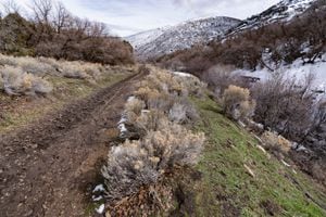 (Francisco Kjolseth | The Salt Lake Tribune) The west bench near Herriman is expected to gain more trails, expanding the Butterfield Canyon, Yellow Fork and Rose Canyons Recreation Area as seen on Wednesday, March 16, 2022.