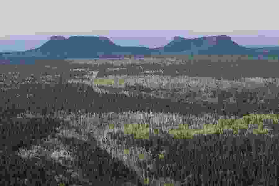 Trump team releases Bears Ears management plan to outcry from environmental groups