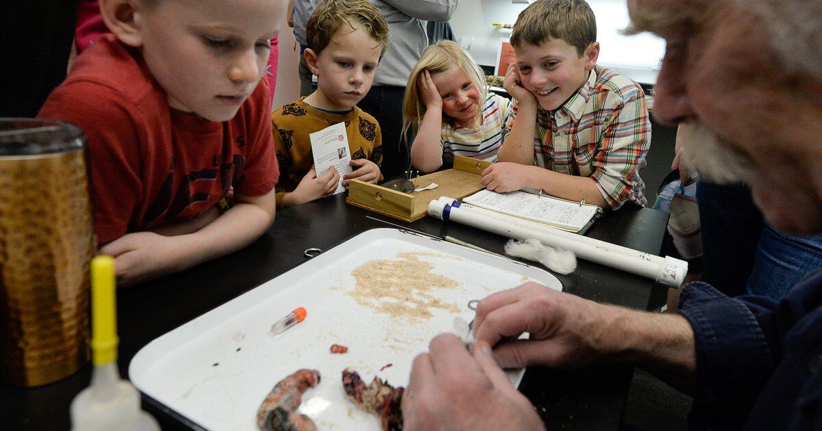 Citizen scientists played key role in building Utah museum’s vast collections
