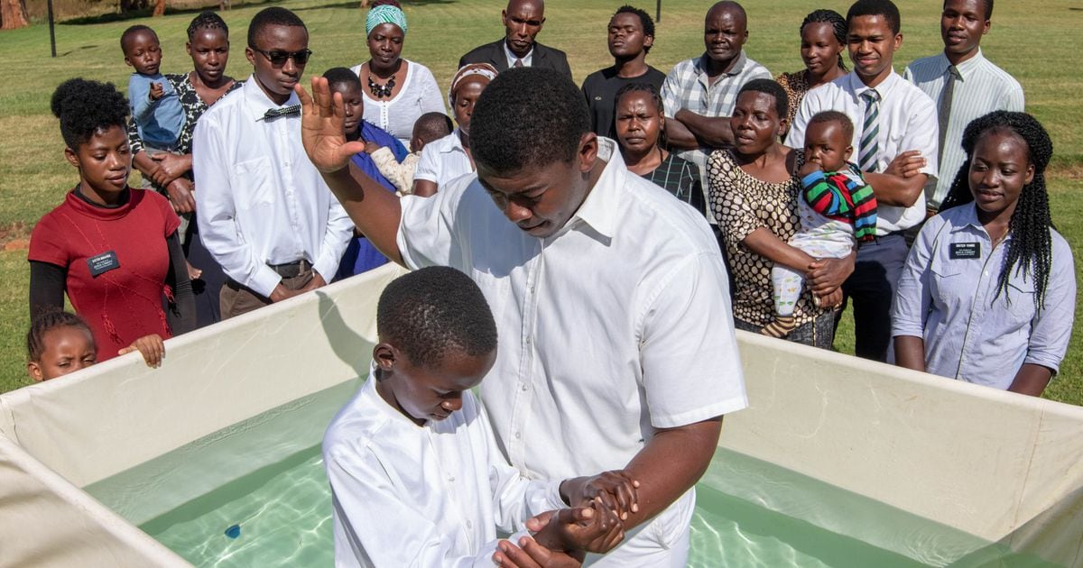 COVID affected the growth of the LDS Church when convert baptisms fell by almost 50%