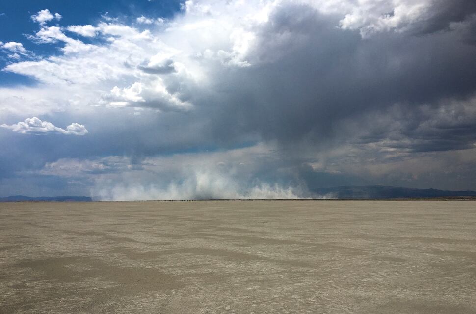 The Great Salt Lake is drying up, and a Utah scientist is trying to