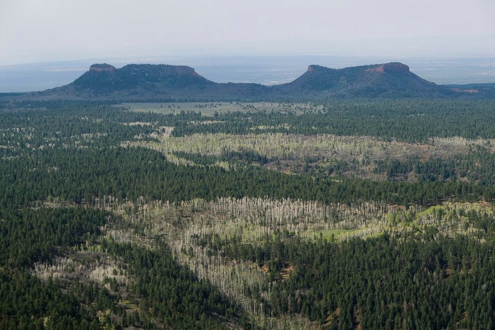 (Francisco Kjolseth | Tribune file photo via AP) This Dec. 28, 2016, file photo shows the two buttes that make up the namesake for Utah's Bears Ears National Monument in southeastern Utah. The monument created by President Barack Obama on his way out of office and shrunk by President Donald Trump has been at the center of the public lands debate in Utah and the nation.