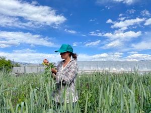 (Chandler Rosenberg  |  Utah Food Coalition) Kristen Kropp, owner of B.U.G. (Backyard Urban Gardens) Farms in Salt Lake City's Glendale neighborhood, leads a farm tour at Utah Food Coalition's first farmer skill-share/potluck.
