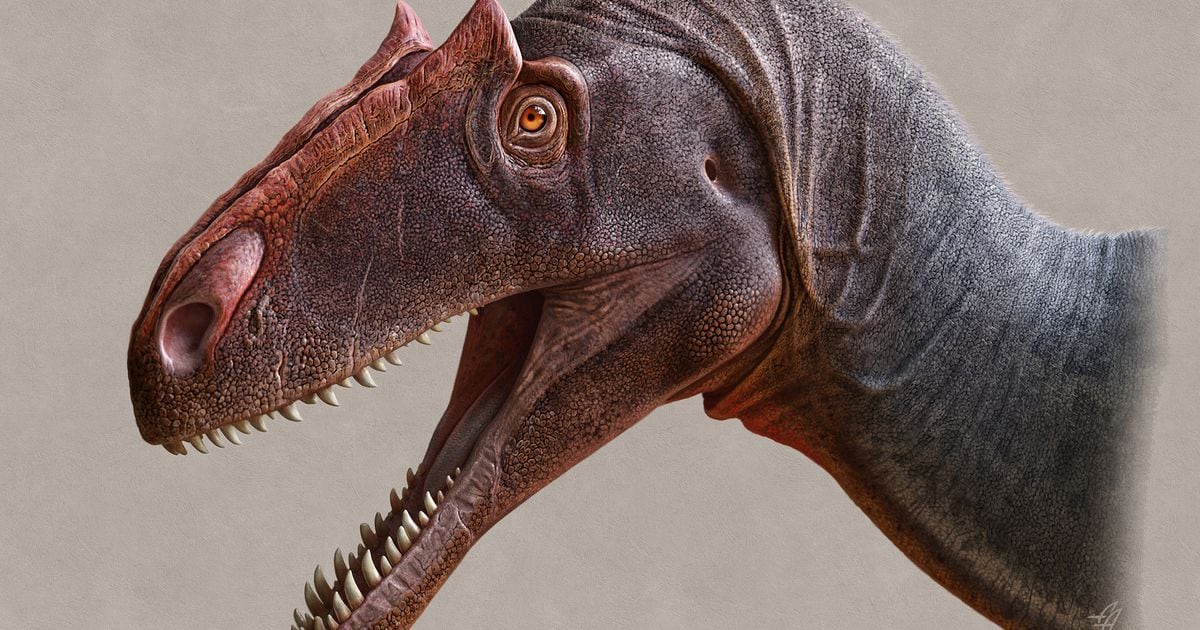 New year celebration utah A ‘new’ dinosaur — the top predator of its time — goes on display at the Utah Museum of Natural
