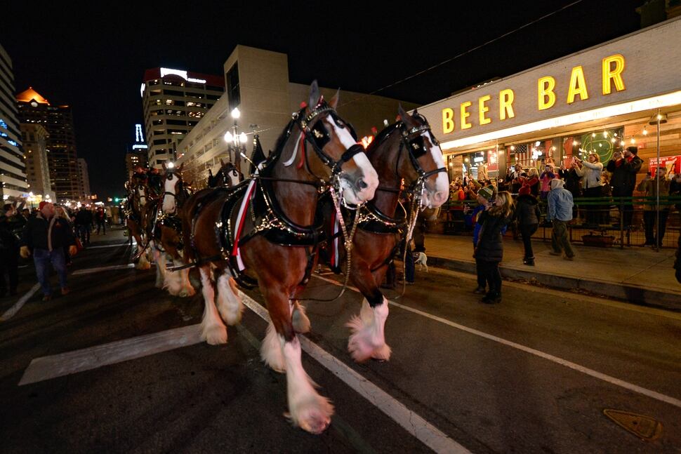 (Francisco Kjolseth | The Salt Lake Tribune) Budweiser’s iconic Clydesdales make a special trip to Utah to celebrate the changing beer laws in the state, joined by a “ghoulish group of pallbearers,” on Wed. Oct. 30, 2019, for a funeral procession for Utah’s last remaining 3.2 percent beer, on their way to Bar X, Beer Bar and Johnny’s on 200 South in Salt Lake City, as the state prepares to start selling 5 percent alcohol-by-volume in grocery and convenience stores starting Friday.