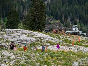 (Rick Egan | The Salt Lake Tribune)  Hikers walk along a detour of the Catherine Pass Trail, as construction crews work on the Supreme chair lift at Alta Ski resort, Wednesday, July 27, 2022.