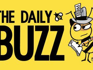 the-daily-buzz-logo