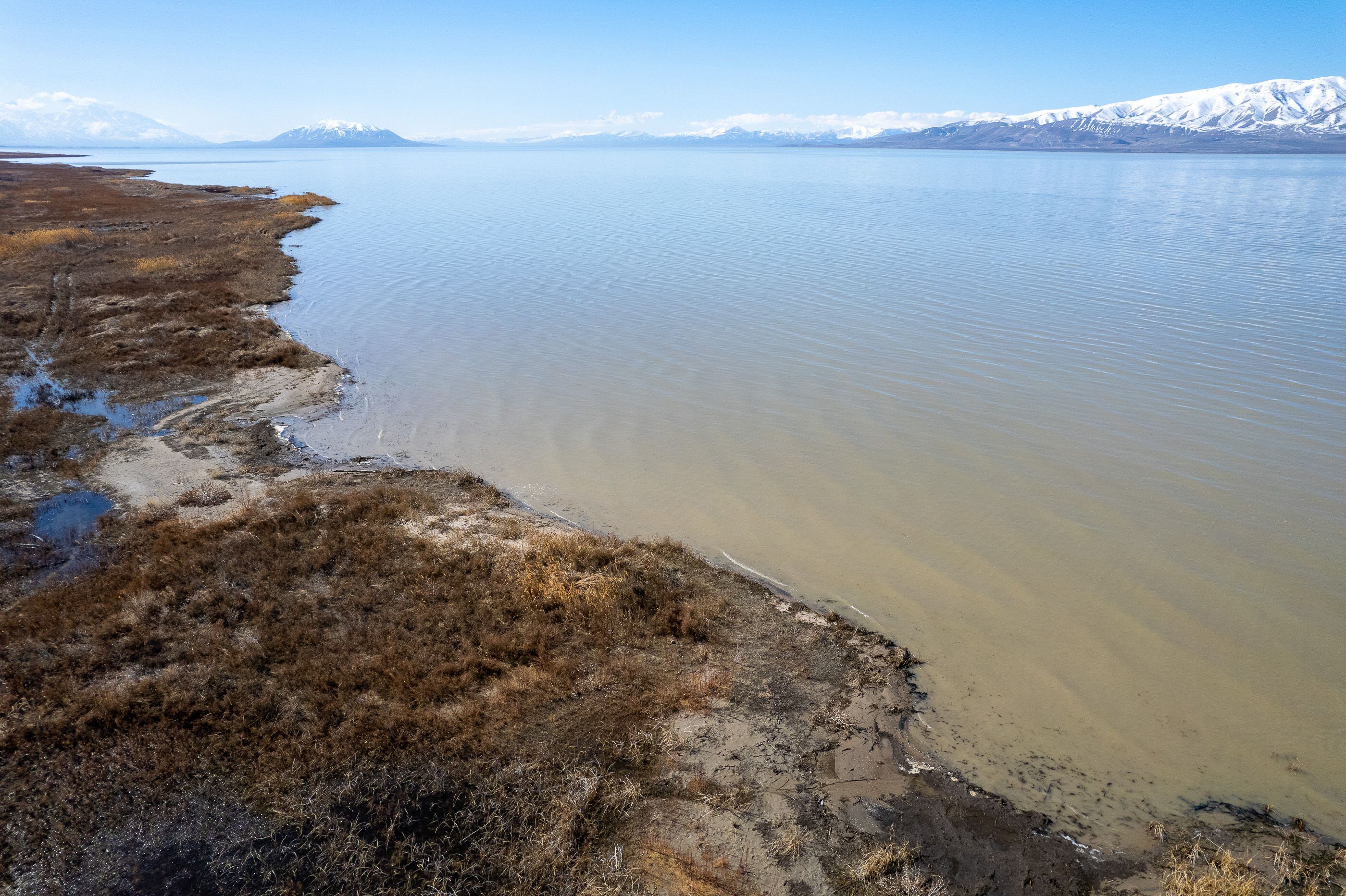 (Trent Nelson | The Salt Lake Tribune) Utah Lake on Thursday, March 16, 2023.