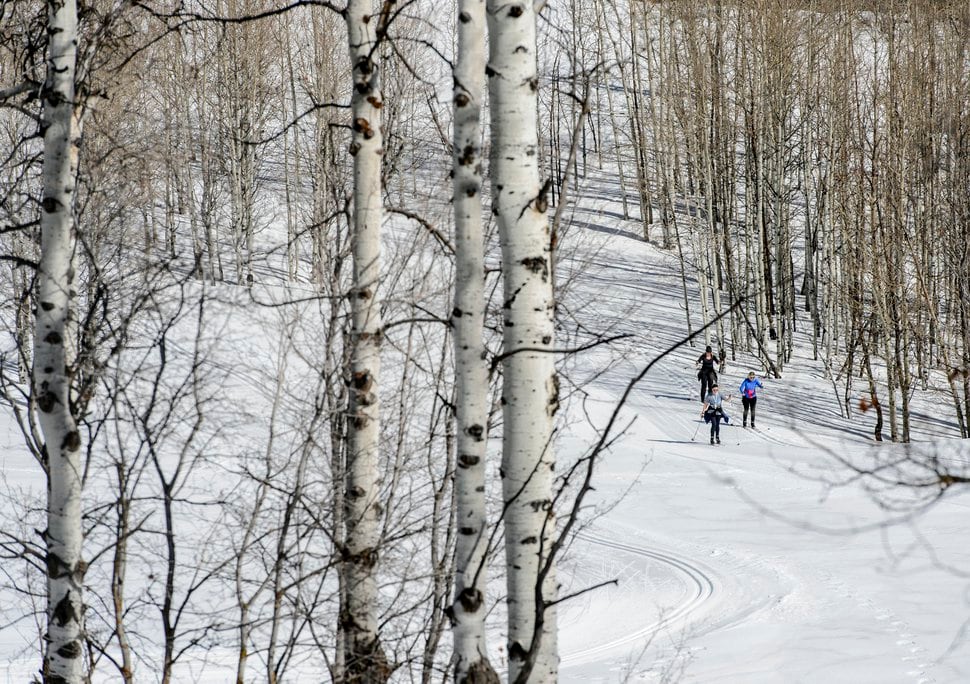 A walk on the cozy side, snowshoeing at Sundance Mountain Resort The