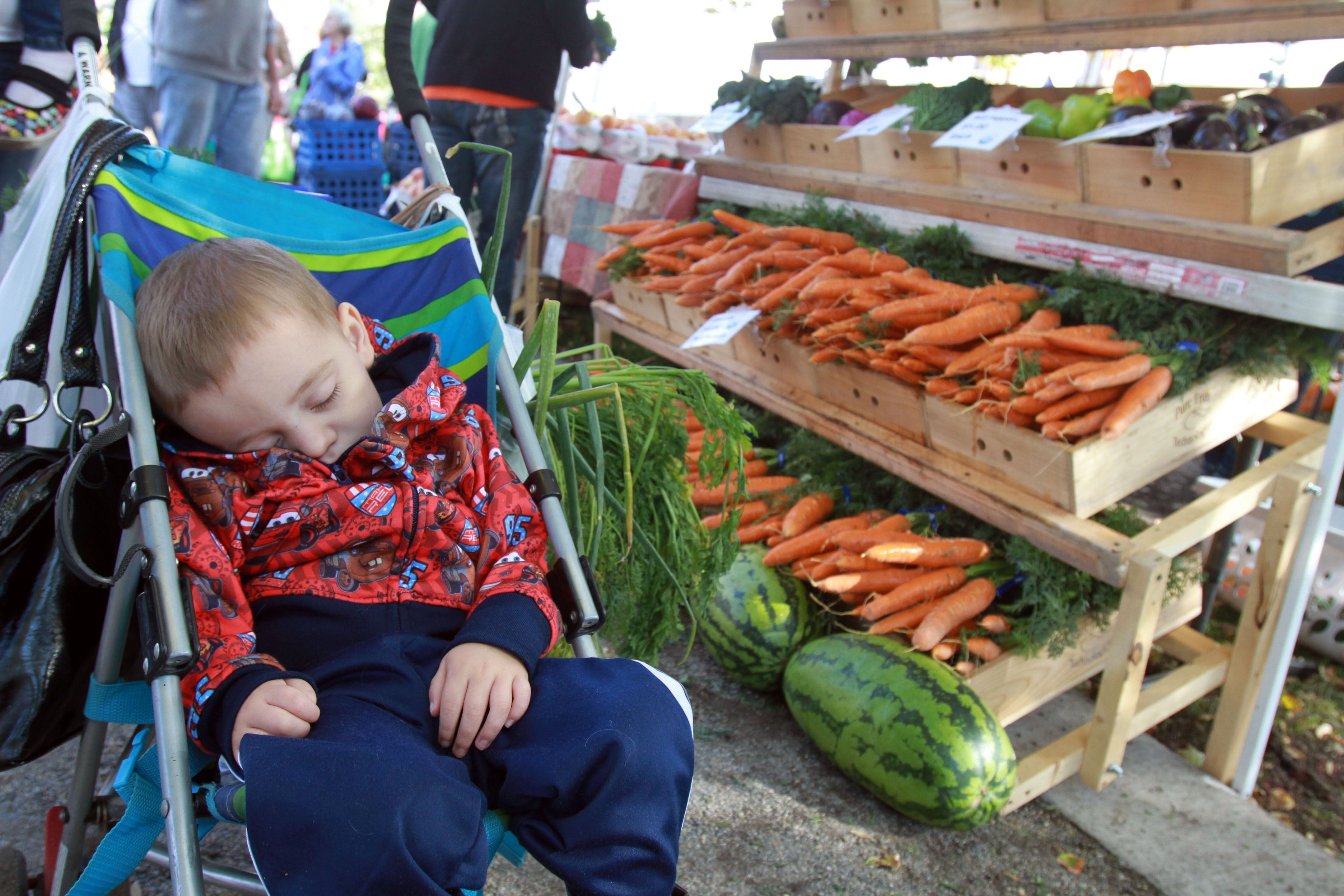 (Keith Johnson | The Salt Lake Tribune)
Mason Belliston naps at the Downtown Farmers Market in 2013. The popular showcase of produce and products is anything but a snoozer for the thousands who attend each Saturday.
