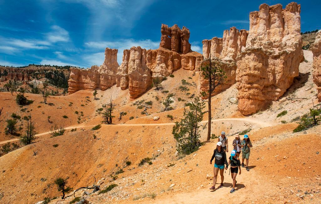Hiking Trails In Bryce Canyon This Is Fantastic' — Utah's Bryce Canyon Is Back In Business, With Clear  Skies And Clear, But Limited, Trails