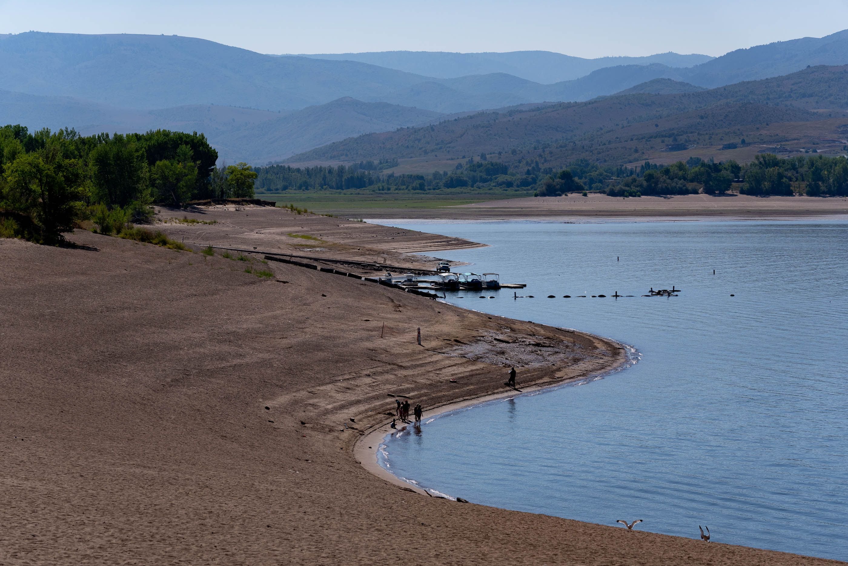 Are Dogs Allowed At Pineview Reservoir