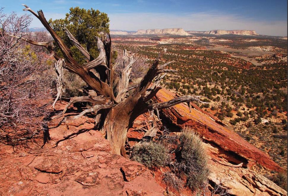 (Courtesy photo) Vermilion Cliffs.