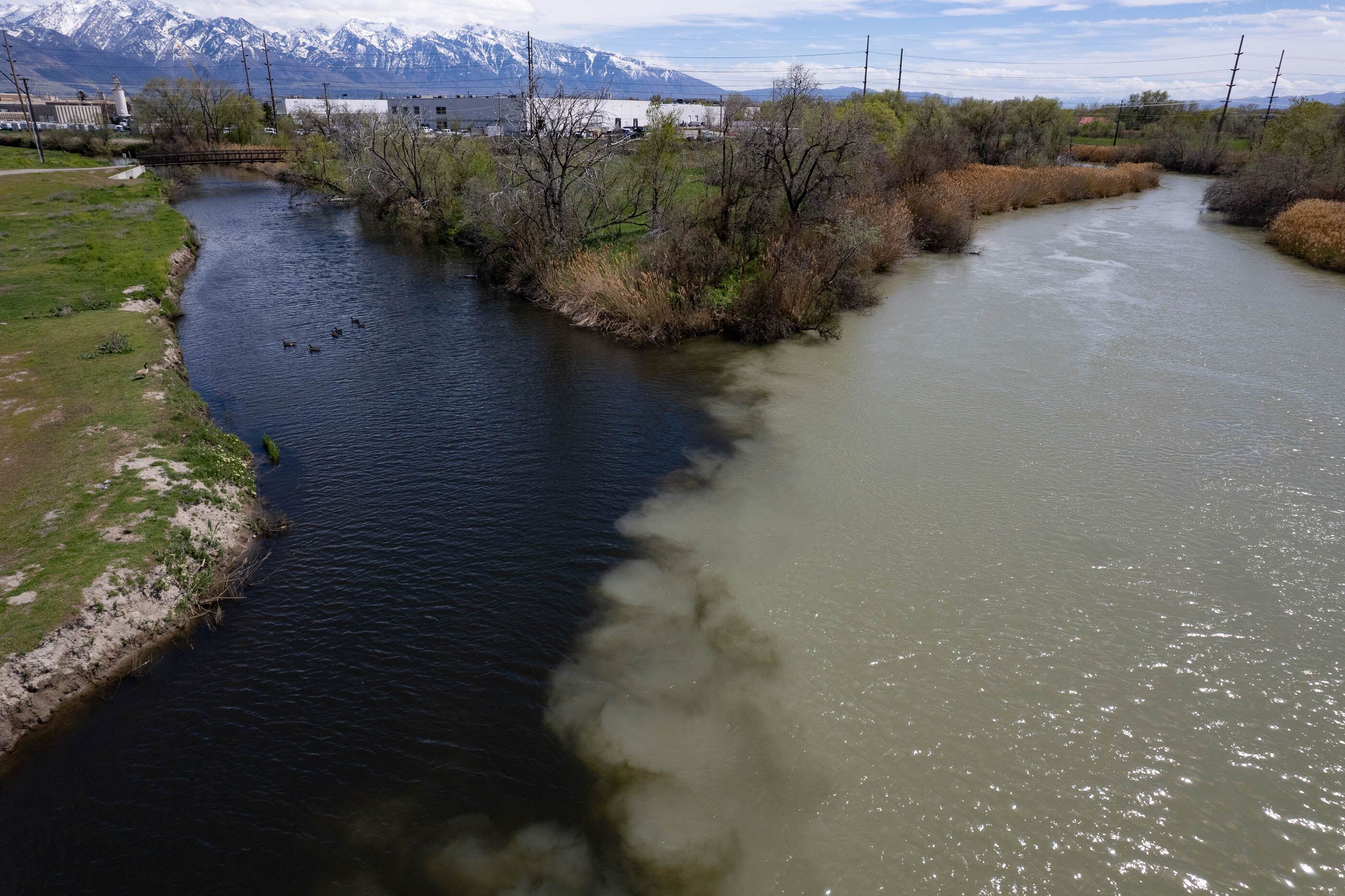 (Francisco Kjolseth | The Salt Lake Tribune) The dark waters of Mill Creek combine with the flow of the Jordan River on Wednesday, April 17, 2024.