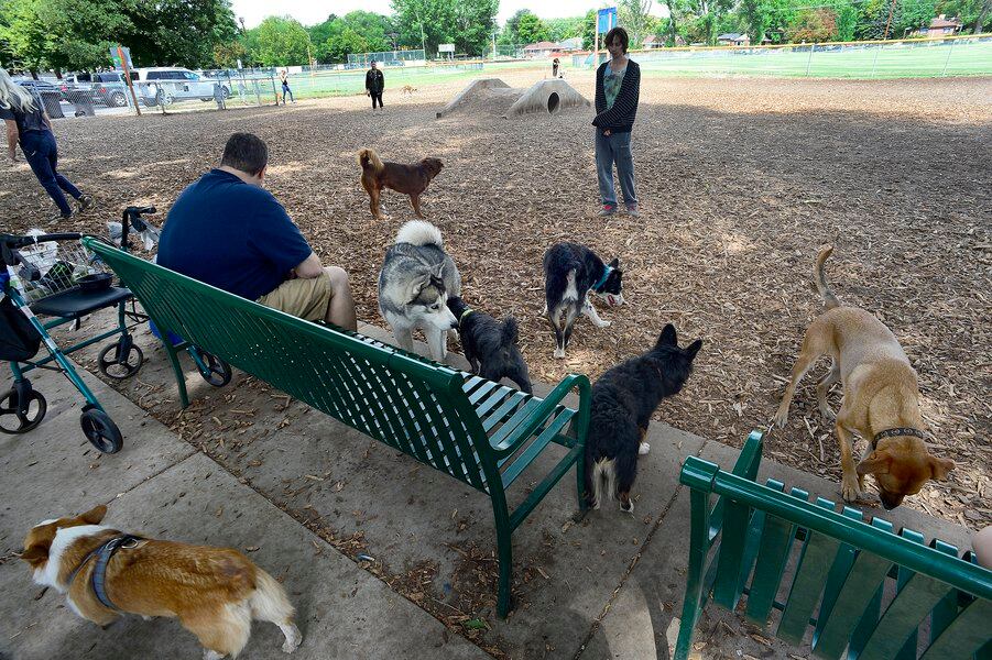 Public invited to weigh in on offleash dog parks in Salt Lake County